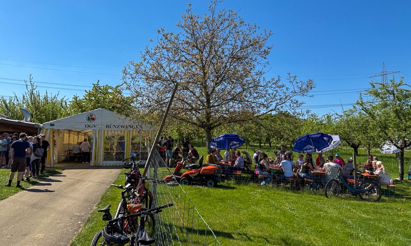 OGV Bünzwangen e. V., Maihock, 01.05.2025