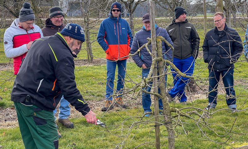OGV Bünzwangen e. V., Schnittkurs, 01.03.2025