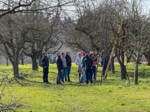 Schnittkurs OGV Bünzwangen e. V. am 05. und 07.03.2026
