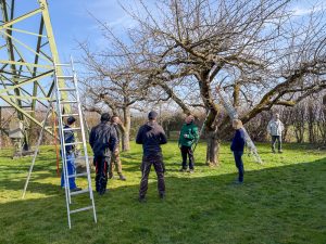 Schnittkurs OGV Bünzwangen e. V. am 05. und 07.03.2026