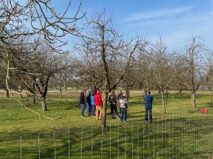 Schnittkurs OGV Bünzwangen e. V. am 05. und 07.03.2026