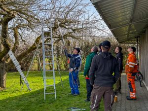 Schnittkurs OGV Bünzwangen e. V. am 05. und 07.03.2026