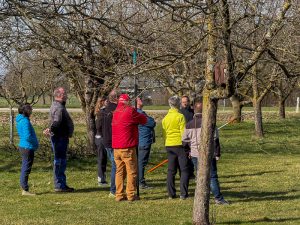 Schnittkurs OGV Bünzwangen e. V. am 05. und 07.03.2026