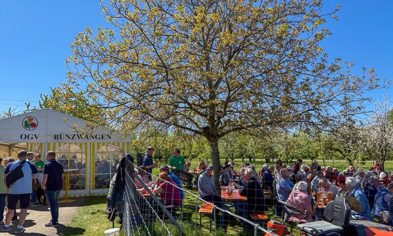 Besucher beim Maihock 2026 des Obst- und Gartenbauvereins Bünzwangen e. V.